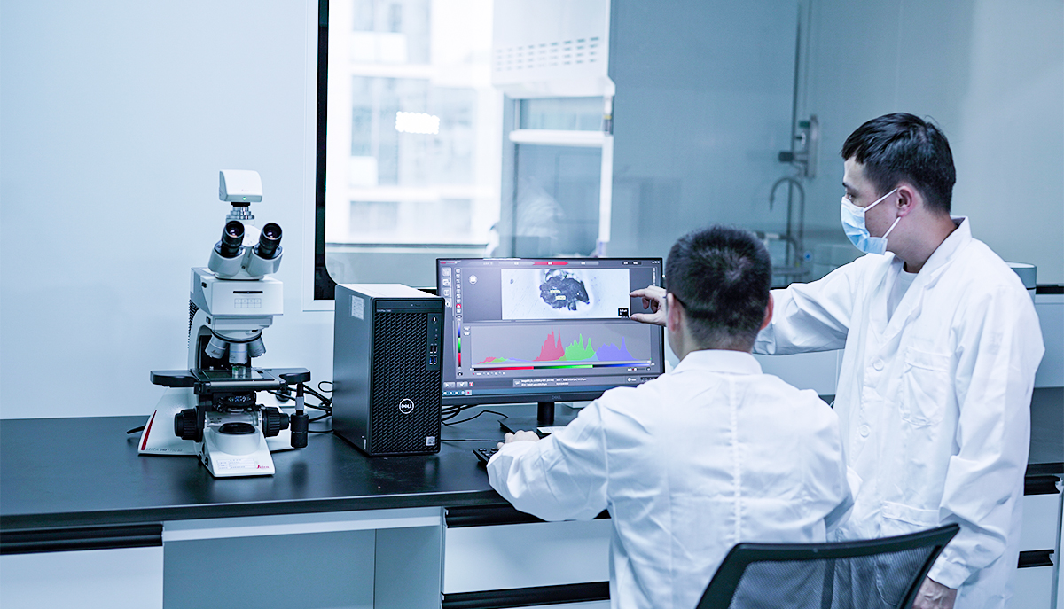 ��ҳ- ���������й��������