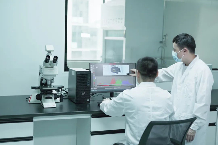 ��ҳ- ���������й��������