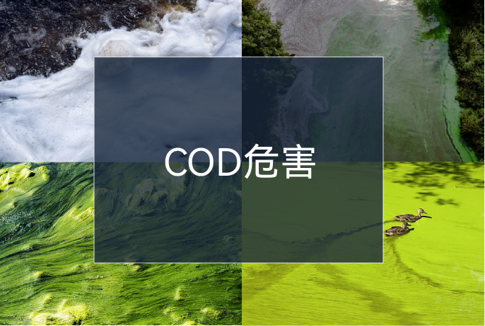 ��ҳ- ���������й��������